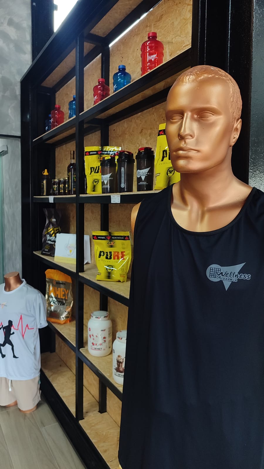 Treino na Wellness Academia